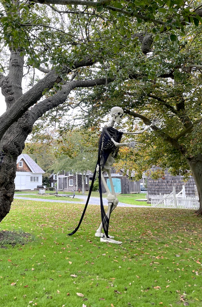 giant skeleton southampton history museum southampton new york the hamptons