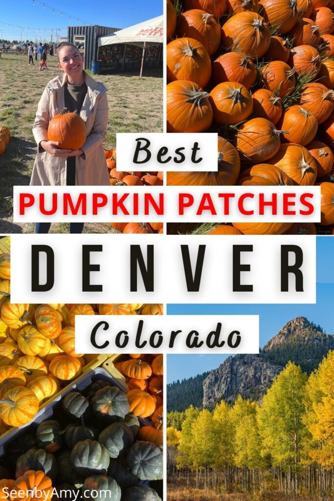 Pinterest graphic: photos of pumpkins, pumpkin patches, and fall colors, text reads "Best pumpkin patches Denver Colorado"