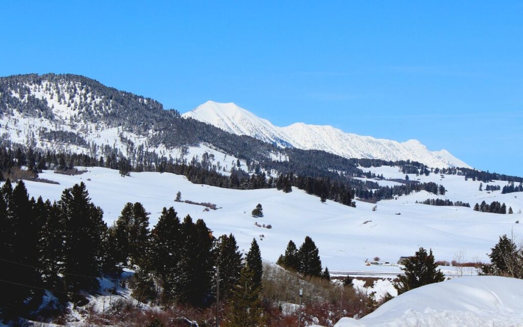 Close up of snow-covered mountains with pine trees and open valleys covered in snow on bright blue, sunny winter day. Bridger Mountains near Bozeman, Montana.