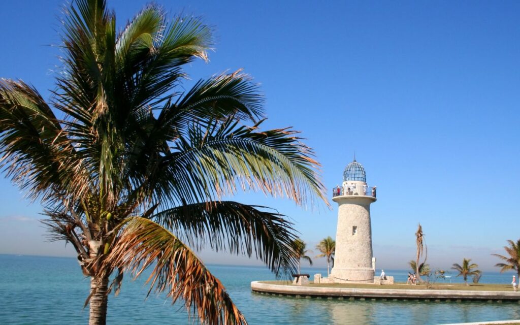 Short, white lighthouse surrounded by blue water with large palm tree in foreground on cloudless day. Boca Chita Lighthouse, Biscayne National Park, Miami, Florida.