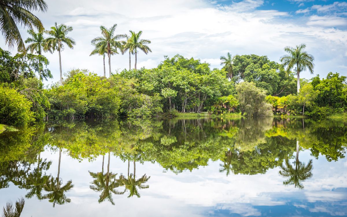 23 Of The Best Nature Things To Do In Miami, Florida