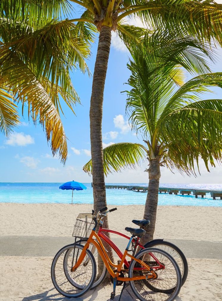 key west florida beach cruiser bike palm tree