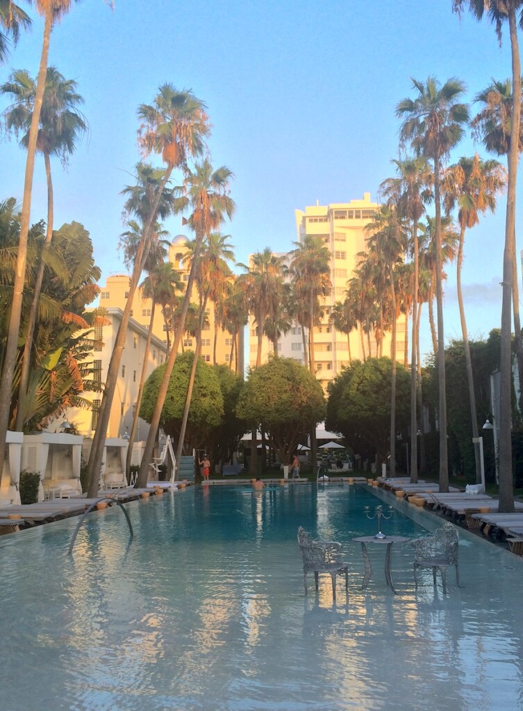 Pool framed by tall palm trees, cabanas and trees with hotel in distance on sunny morning. Pool at Delano South Beach, Miami, Florida.