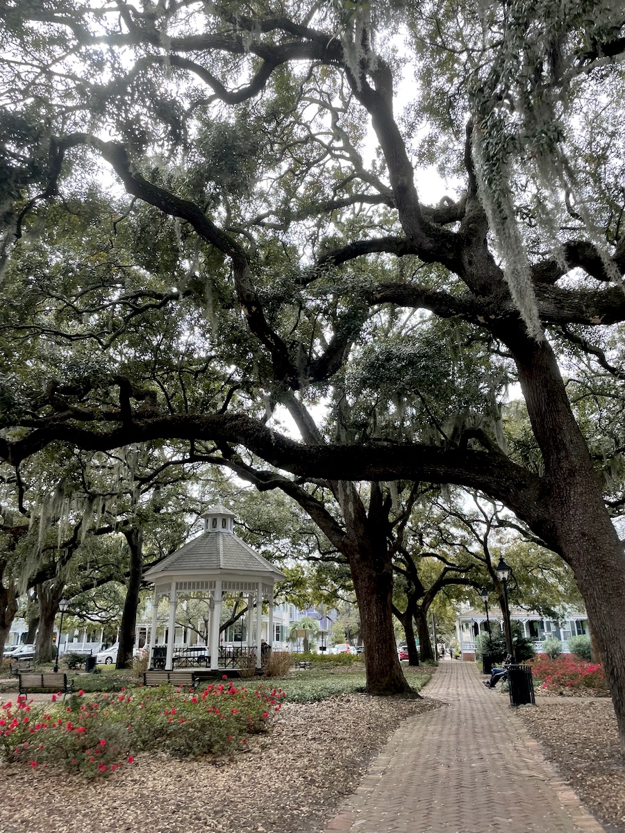 Park with brick path, flowers, and white gazebo covered in huge Spanish moss-drapped live oak trees. Savannah, Georgia.