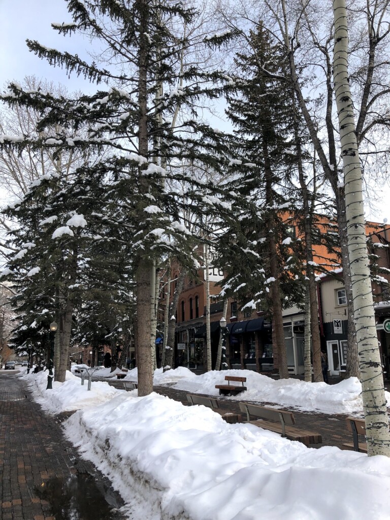 Snow-covered pine and aspen trees in middle of brick-paved pedestrian mall in mountain town. Mill Street Mall, downtown Aspen, Colorado.