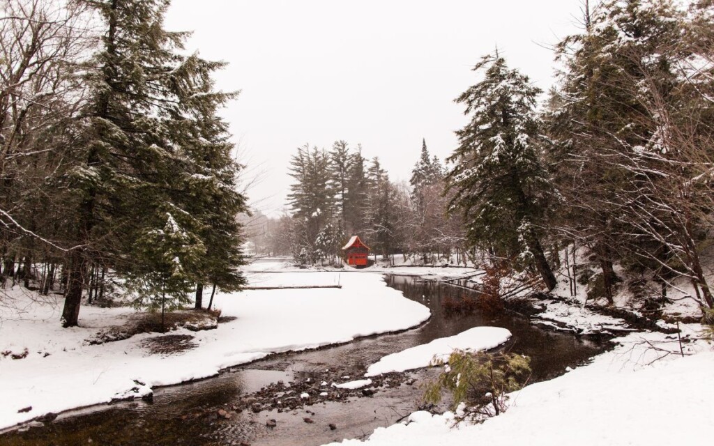 Calm creek flowing through snowy landscape surrounded by pine trees, snow-covered ground, with small red building in distance on grey, gloomy winter day. Winter in Upstate New York.