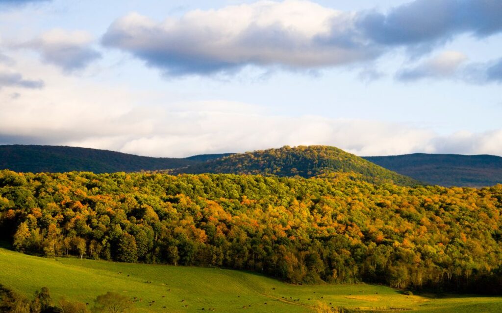 Rolling mountains with green trees turning to orange and yellow in early fall. The Berkshires, Massachusetts.