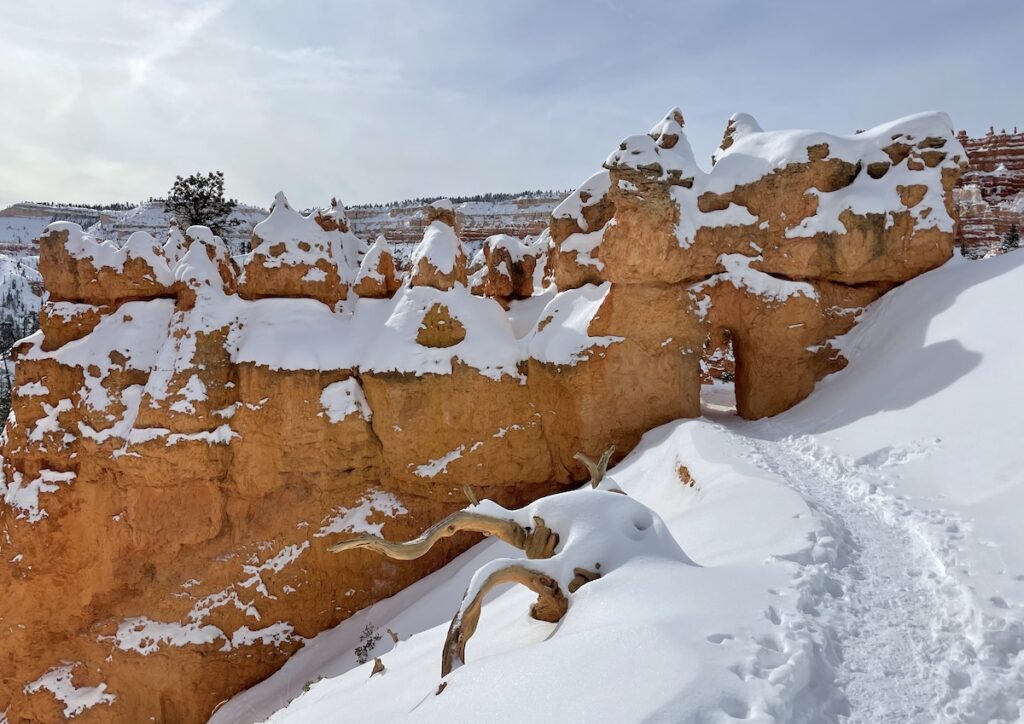 Snow-covered hiking trail leading throughout archway in red, snow-covered hoodoos in winter. Queens Garden via Navajo Loop Trail, Bryce Canyon National Park, Utah in winter.