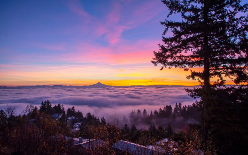 View from overlook looking down on fog covered city during colorful sunrise with Mount Hood in the background. Pittock Mansion Overlook at sunrise, Portland, Oregon.