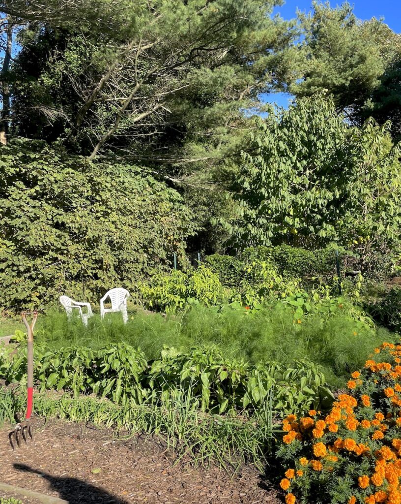 bridge gardens vegtable gardens bridgehampton new york the hamptons