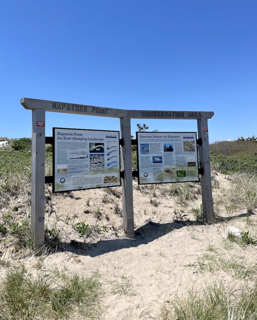 napatree point conservation area Westerly watch hill rhode island