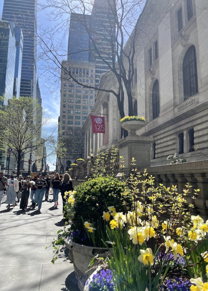new york public library in spring new york city