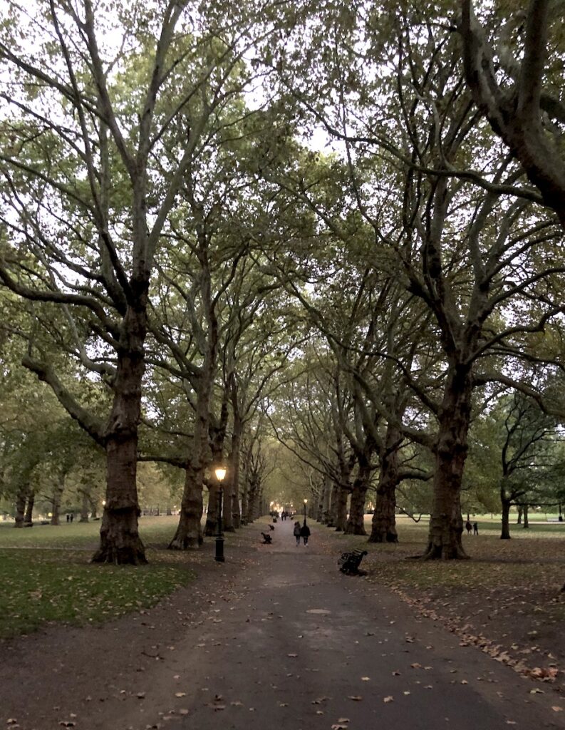 royal gardens the mall buckingham palace london england uk