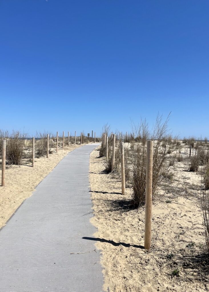 beach path dewey beach delaware