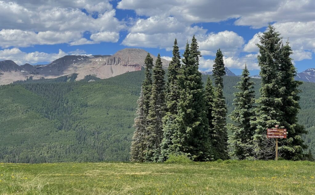 Green mountain views on sunny summer day. Ski trails, Purgatory Ski Resort, Durango, Colorado.