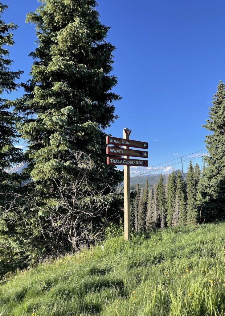 Ski trails sign in summer on green mountain on sunny day. Purgatory Ski Resort, Durango, Colorado.