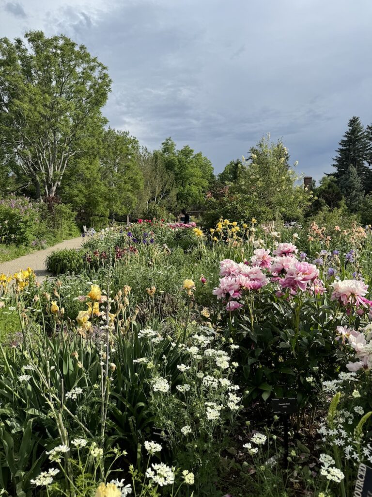 Denver botanic gardens colorado flowers