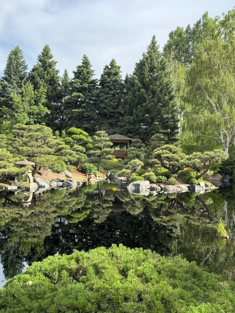denver botanic gardens pond colorado