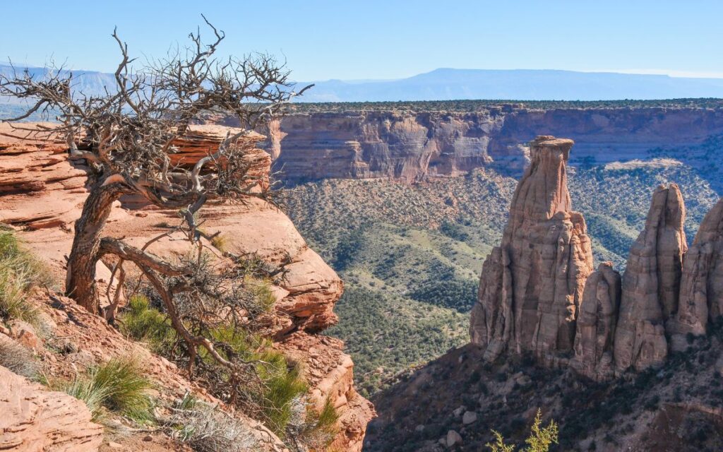 Colorado National Monument Grand Junction Colorado
