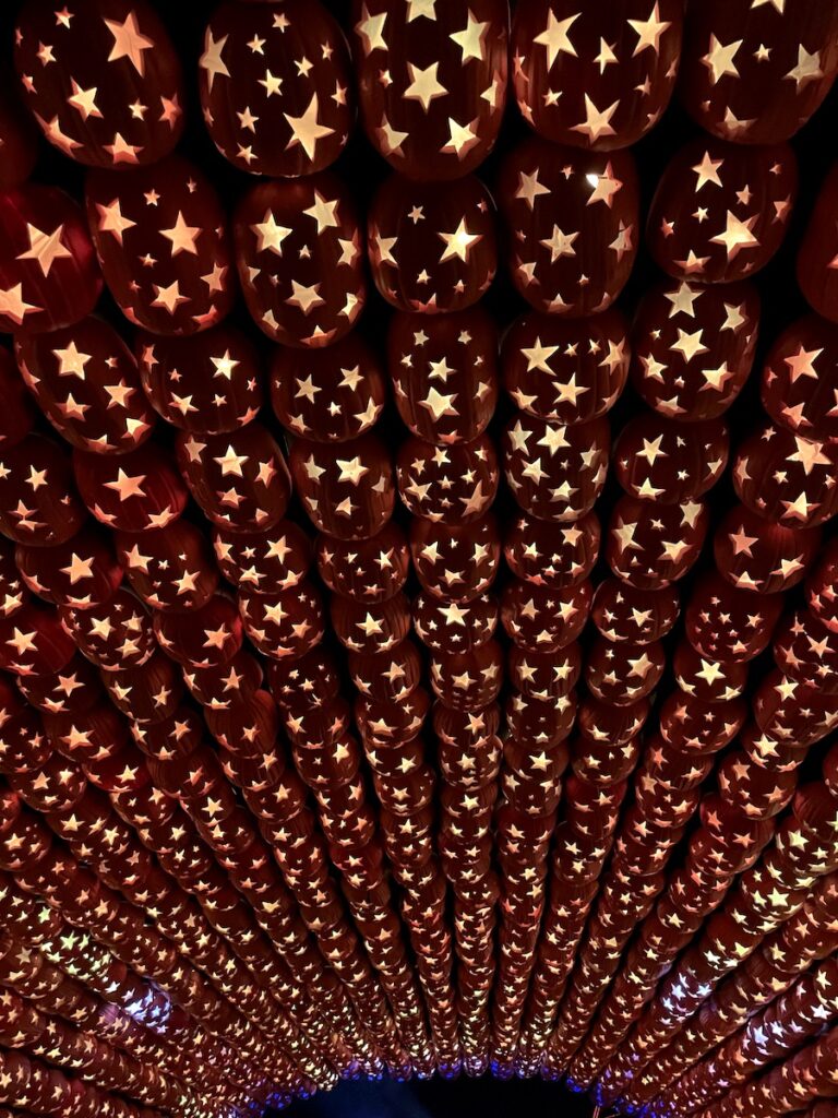 Huge archway of pumpkins carved with stars, backlit in various colors. The Great Jack O'Lantern Blaze: Long Island, Old Bethpage, New York.