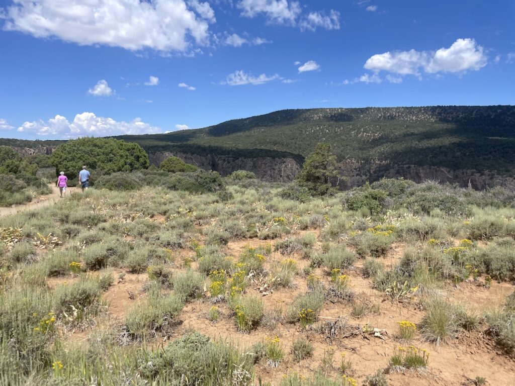 Couple hiking through desert like landscape with deep canyon in near distance on sunny summer day. Rim hike, Black Canyon of the Gunnison National Park, Montrose, Colorado.