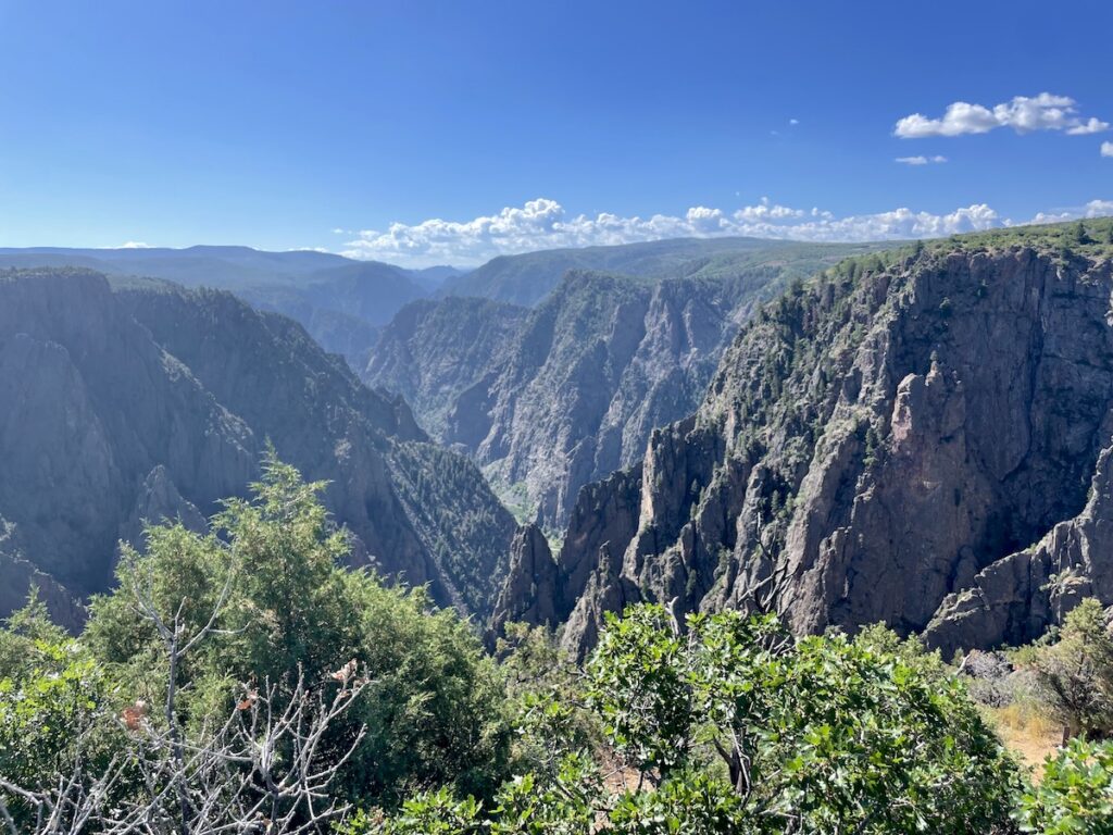 Rocky canyon with greenery growing on top and in foreground on sunny summer day. Tomichi Point Overlook, Black Canyon of the Gunnison National Park, Montrose, Colorado.