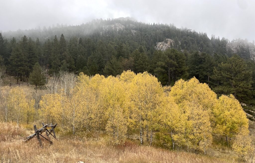golden gate canyon state park fall colors blue grouse trail golden colorado