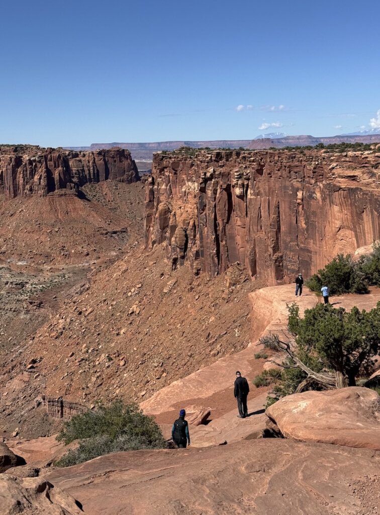 Hikers on slickrock trail near canyon edge with huge red rock cliffs in background on cloudless sunny day. Grand View Point Trail, Canyonlands National Park Island In The Sky, Moab, Utah.