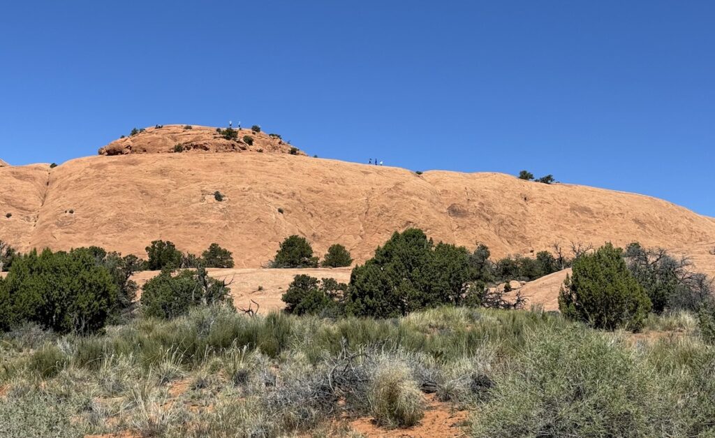 Tiny hikers on top of massive sandstone rock in desert on sunny day. Whale Rock, Canyonlands National Park, Island In The Sky, Moab, Utah.