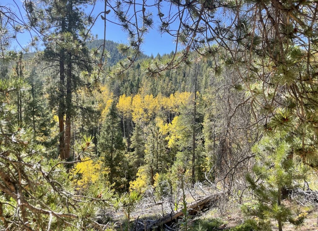 staunton state park colorado hike fall colors