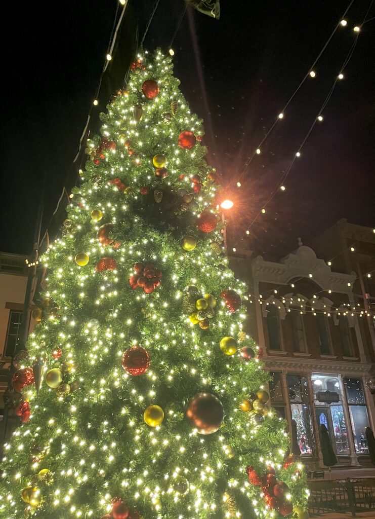 Lit up Christmas Tree in Larimer Square LoDo Denver Colorado