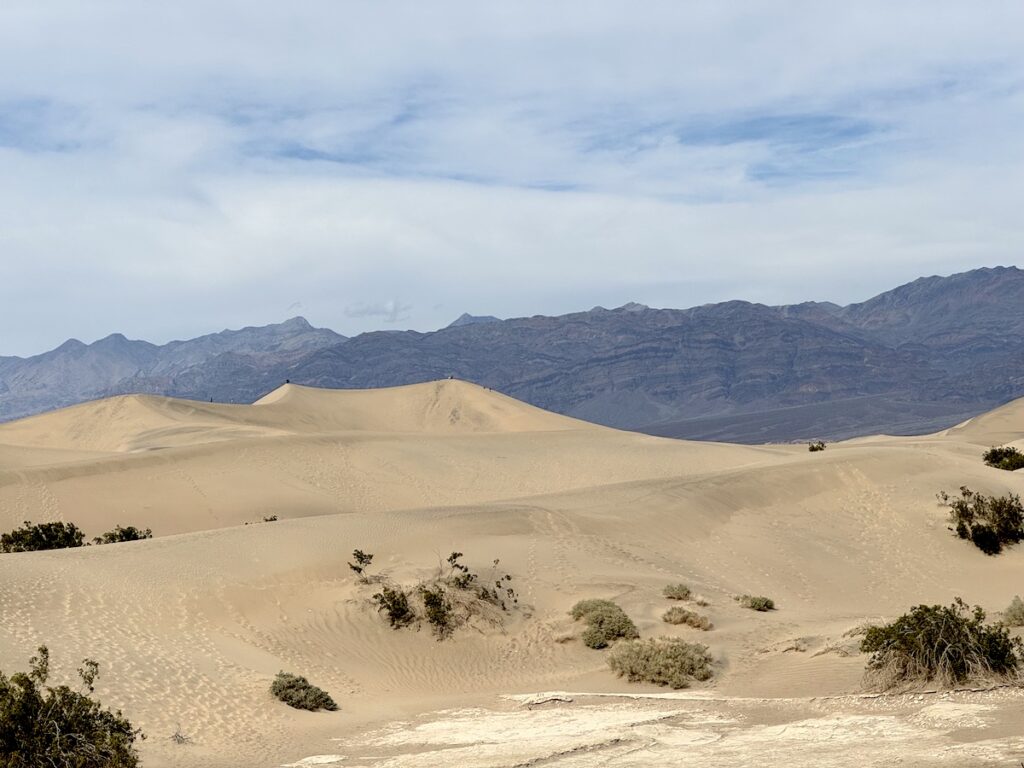 Mesquite Flat Sand Dunes death valley national park california