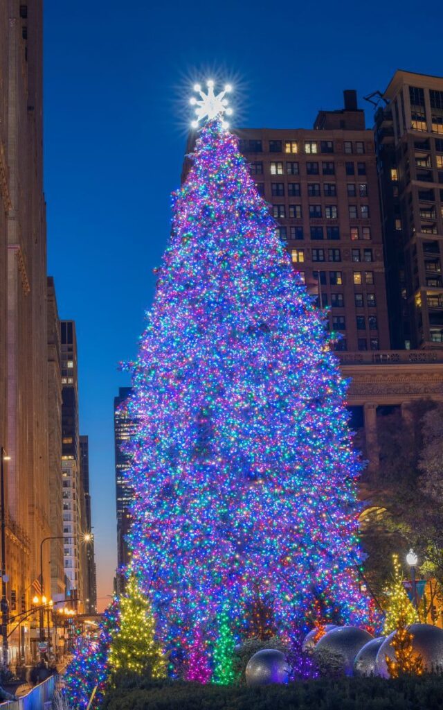 chicago christmas tree downtown the loop illinois