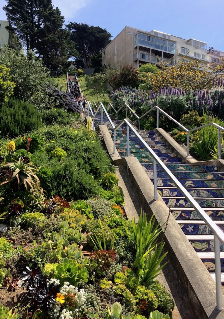 Colorful tiled steps surrounded by lush greenery, flowers, and shrubs on sunny day. 16th Ave Tiled Steps, San Francisco, California.