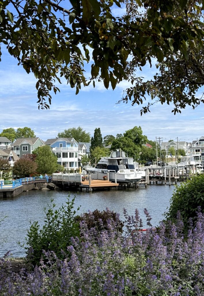 Flowers boats summer in South Haven Michigan