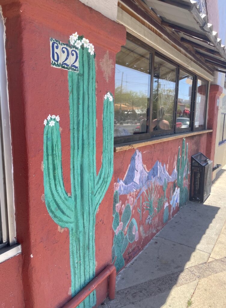 Street murals downtown historic 4th ave Tucson Arizona