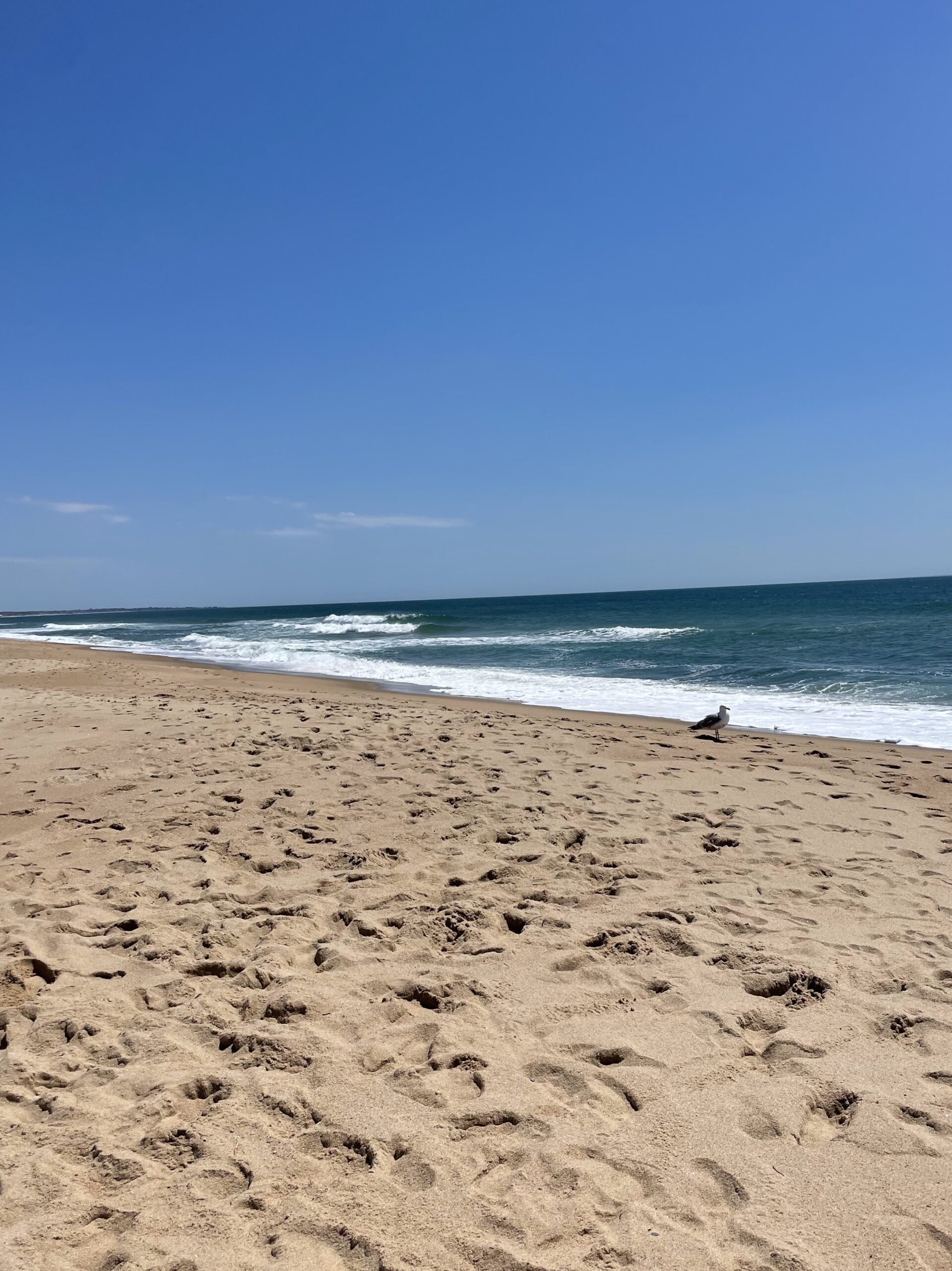 beach day rhode island scaled