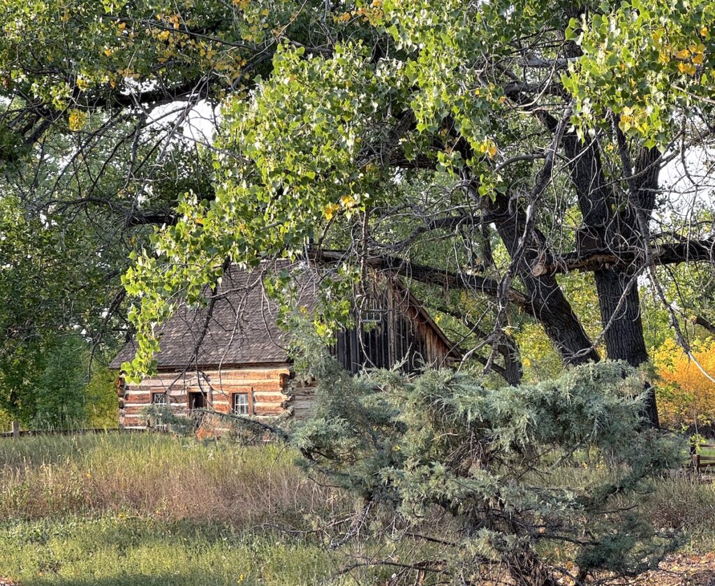 Maltese Cross Cabin Theodore Roosevelt National Park south unit north dakota