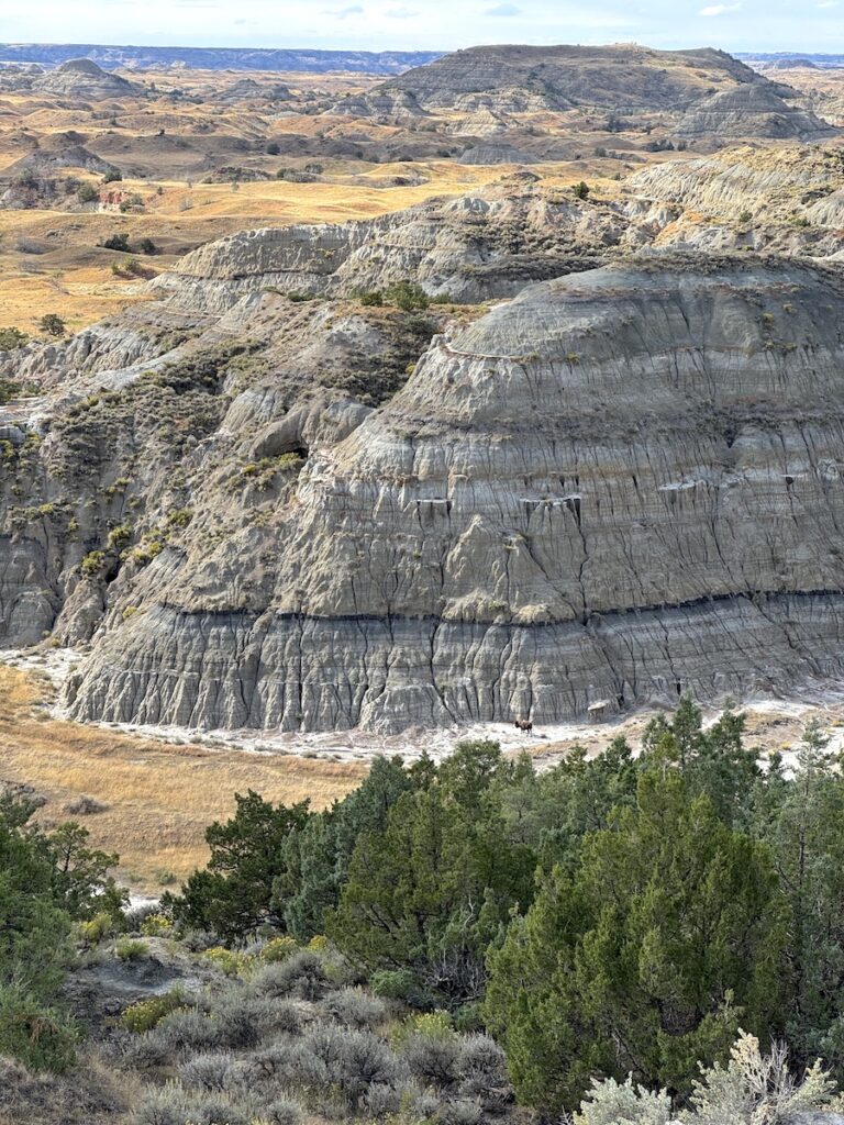 Colorful badlands in prairie land on sunny day, Skyline Vista Overlook, Theodore Roosevelt National Park South Unit, North Dakota.