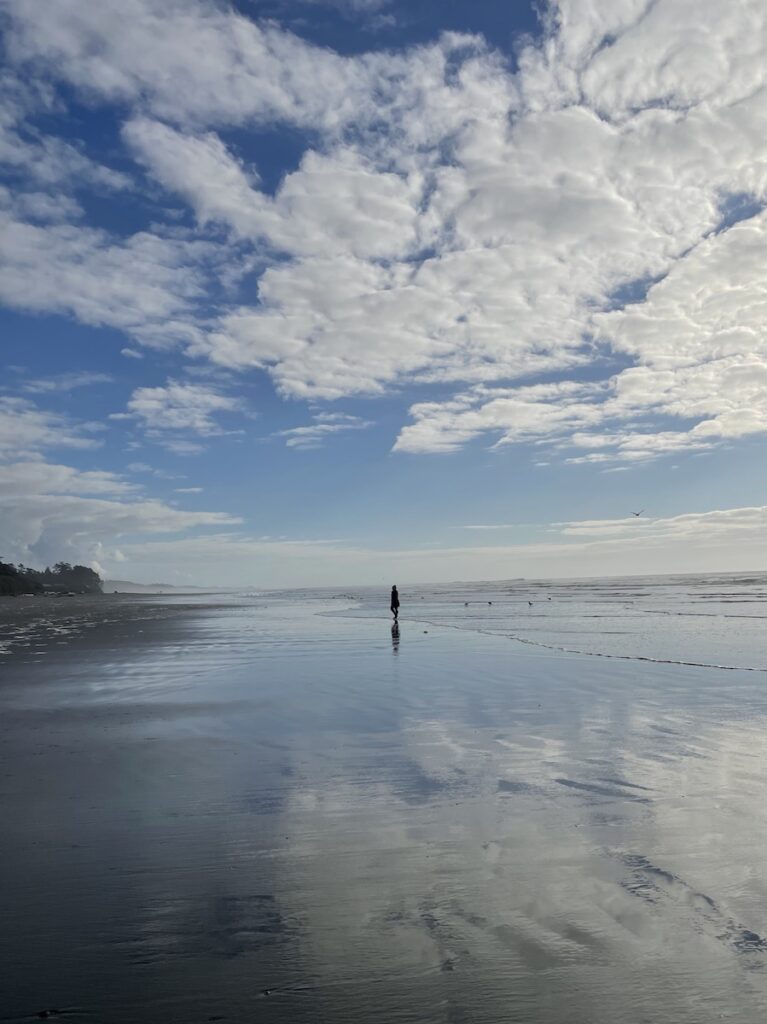 Kalaloch beach low tide Olympic National Park Washington