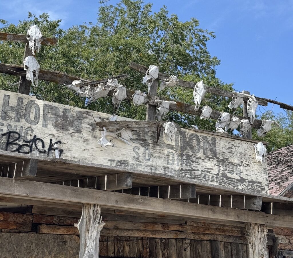 Ghost town building with animal skulls attached to roof on sunny day. Scenic Ghost Town, Scenic, South Dakota.