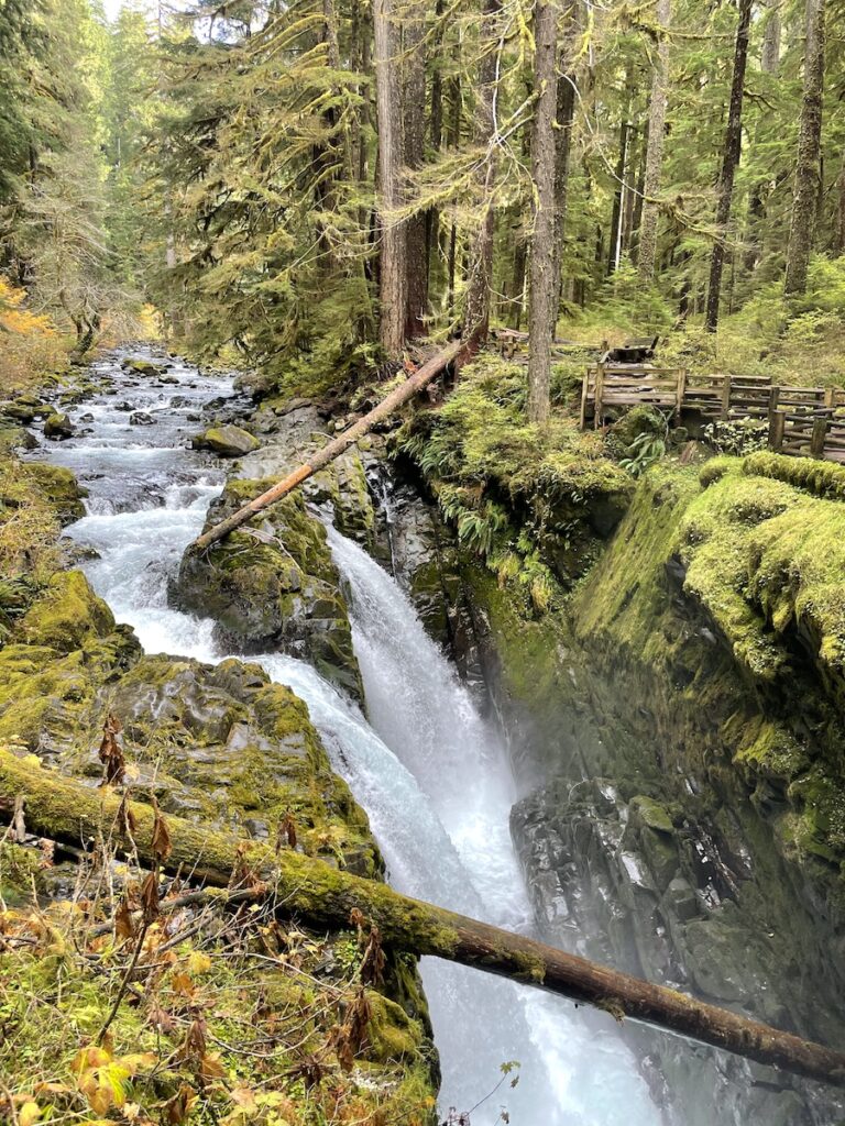 Waterfall through narrow chasm surrounded by mossy green cliffs and moss-covered trees in forest. Sol Duc Falls, Olympic National Park, Olympic Peninsula, Washington.