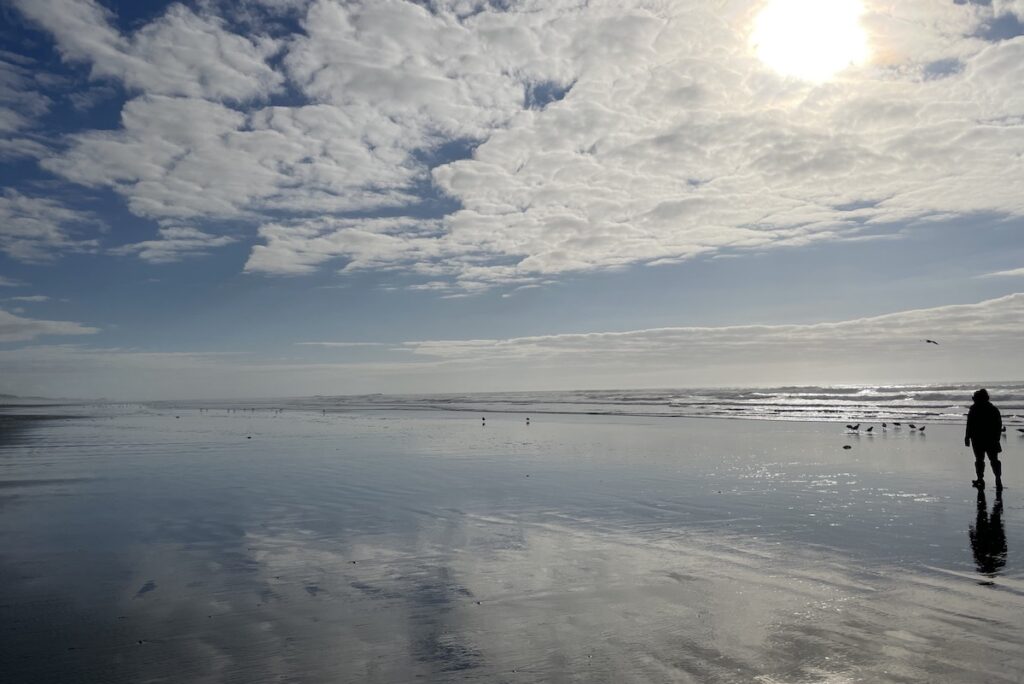 Person walking on beach during low tide with blue skies and clouds reflecting on shore with seagulls in distance. Kalaloch Beach, Olympic National Park, Olympic Peninsula, Washington.