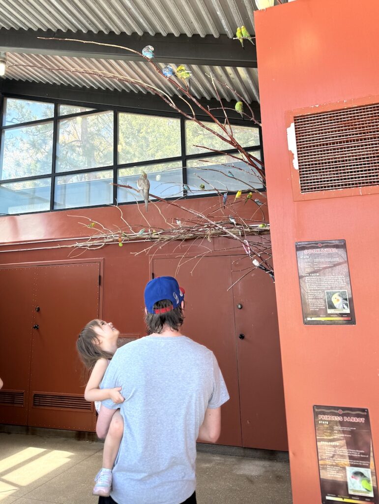 bird enclosure at cheyenne mountain zoo colorado springs