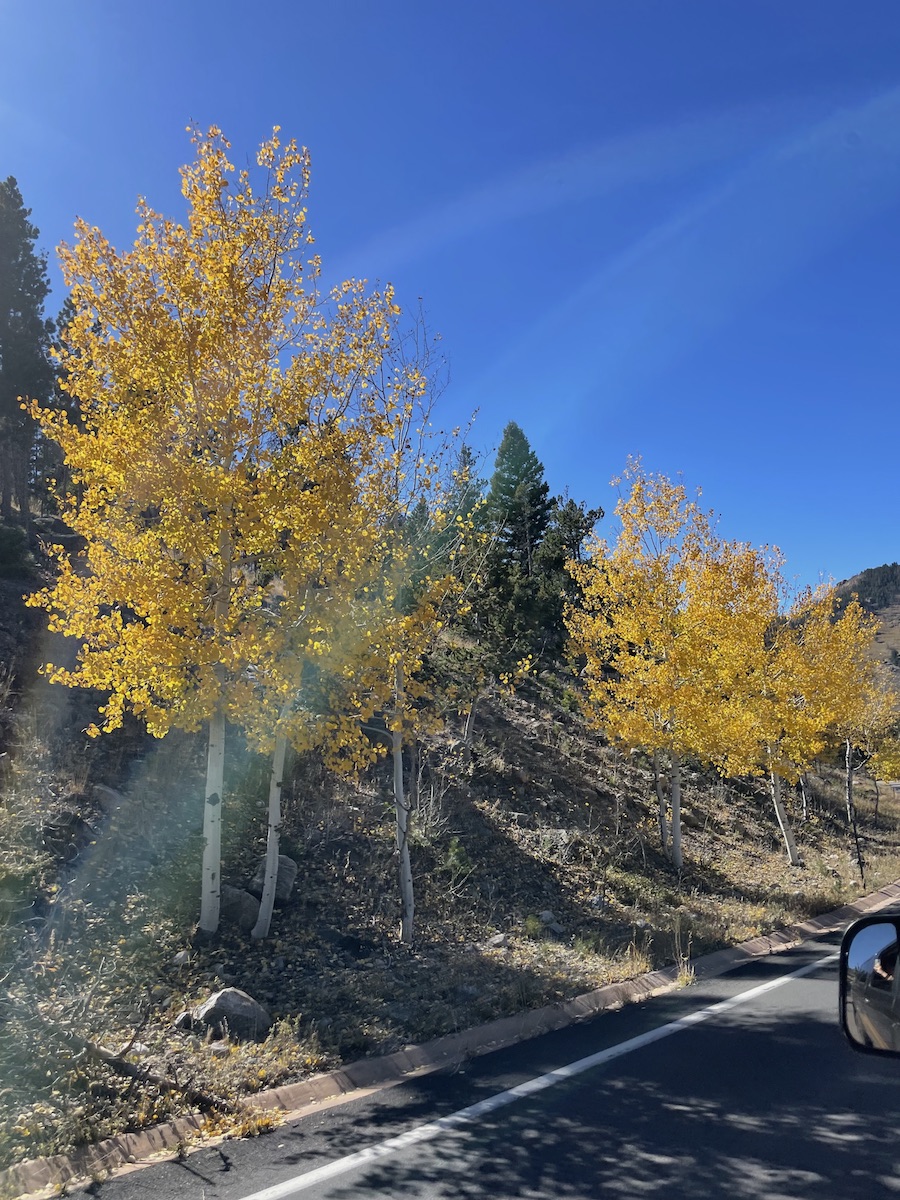 fall colors in rocky mountain national park colorado