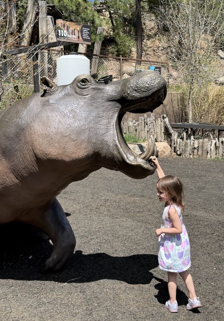kids in play area at cheyenne mountain zoo colorado springs