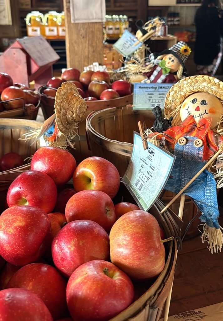 Small barrels of apples in orchard farm stand. Ya Ya Farm & Orchard, Longmont, Colorado.