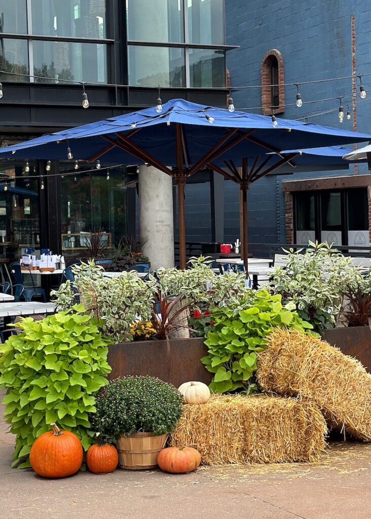 fall decor display at restaurant pearl street mall boulder colorado