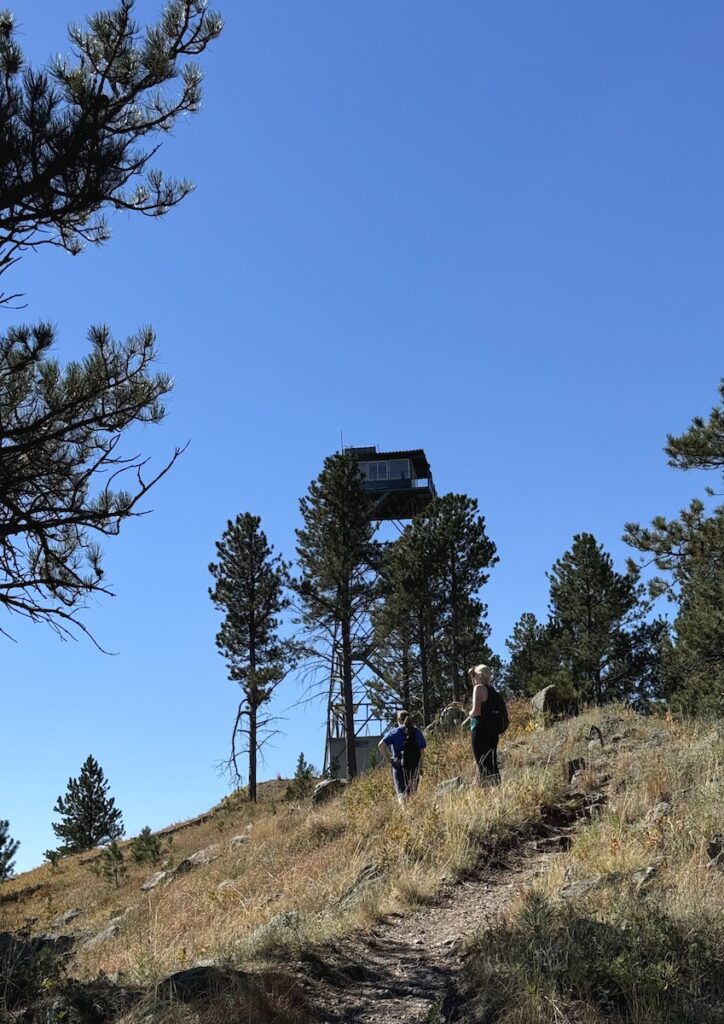 Women hiking up mountain to small fire tower watch station surrounded by pine trees on sunny fall day. Rankin Ridge Hike, Wind Cave National Park, Black Hills, South Dakota.