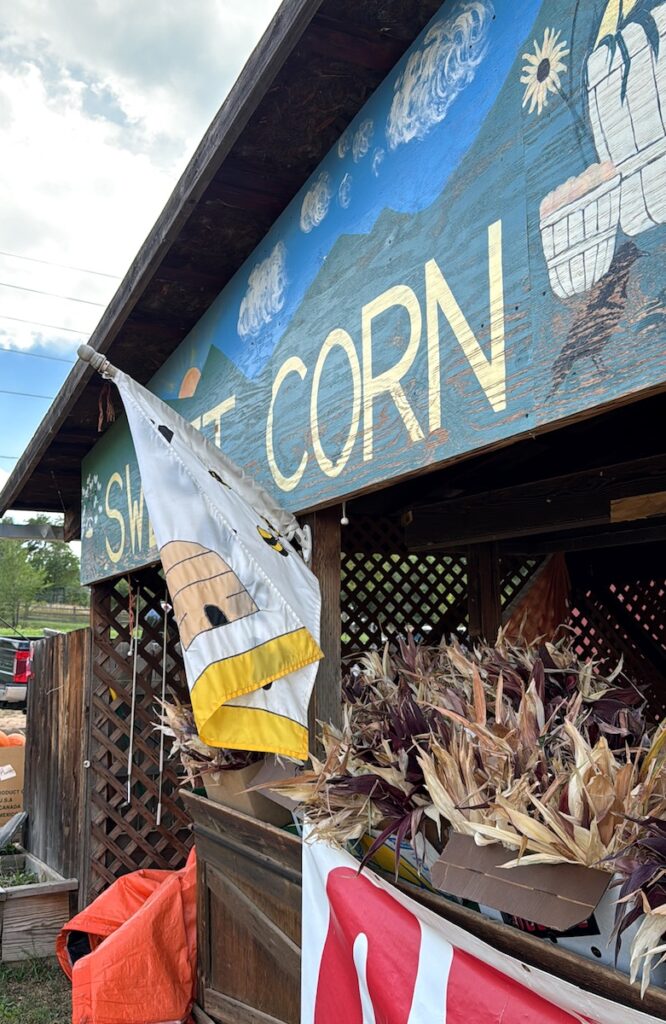 sweet corn farm stand munson farms boulder colorado